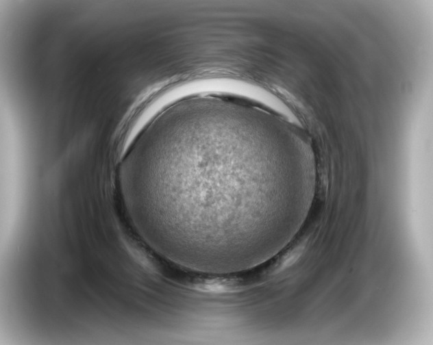 X0000087010064200704301426