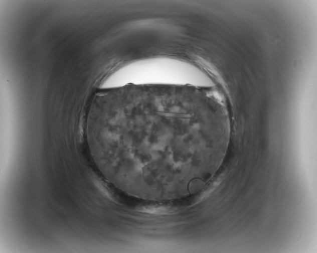 X0000087010065200704301426