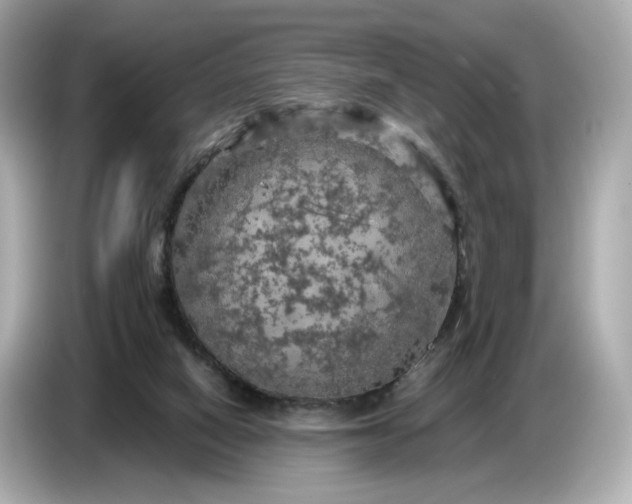 X0000087010066200704301426