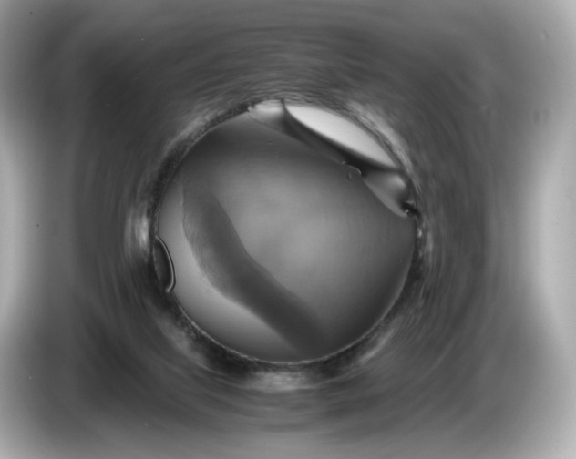 X0000087010067200704301426