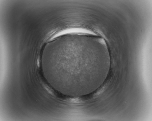 X0000087010068200704301426