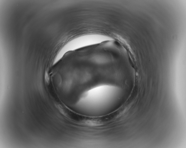 X0000087010069200704301426