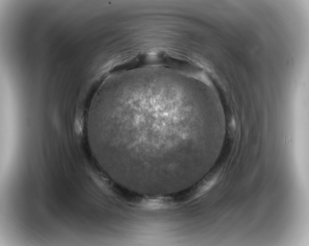 X0000087010072200704301426