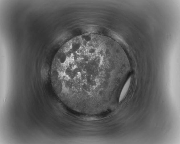 X0000087010073200704301426