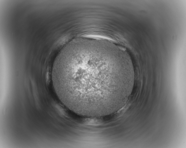 X0000087010074200704301426