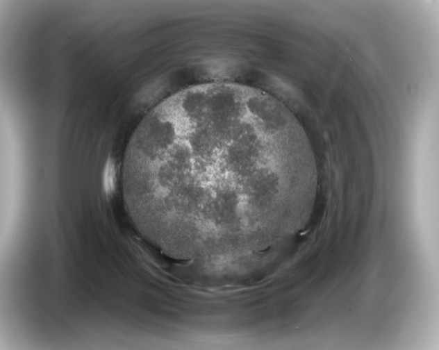 X0000087010075200704301426