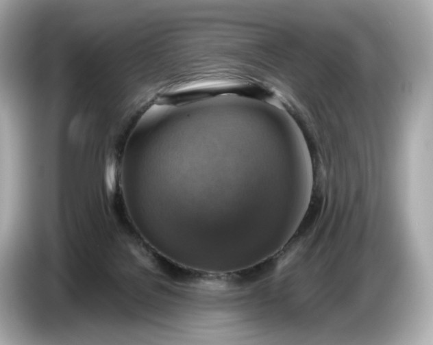 X0000087010076200704301426