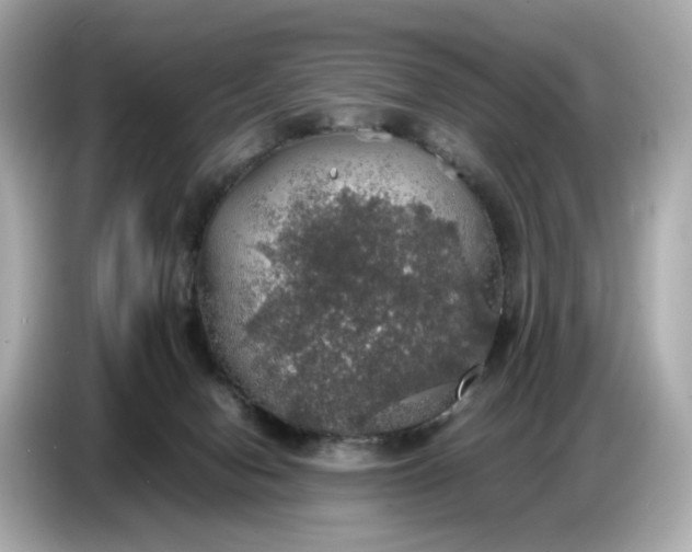 X0000087010078200704301426