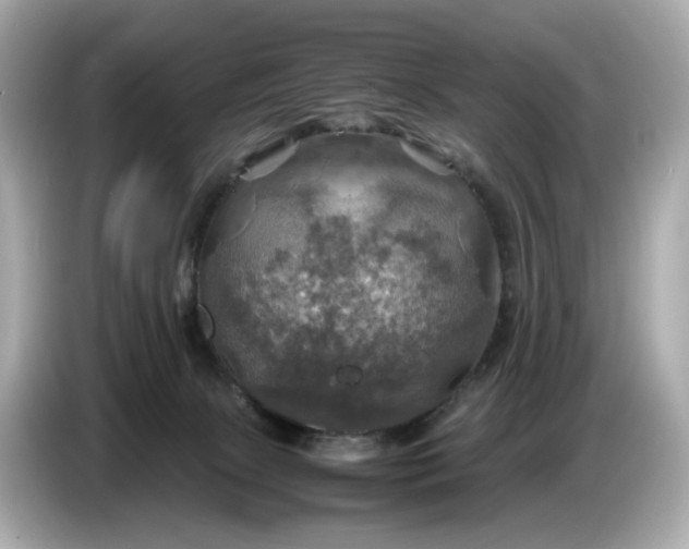 X0000087010081200704301426