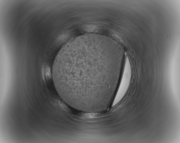 X0000087010089200704301426