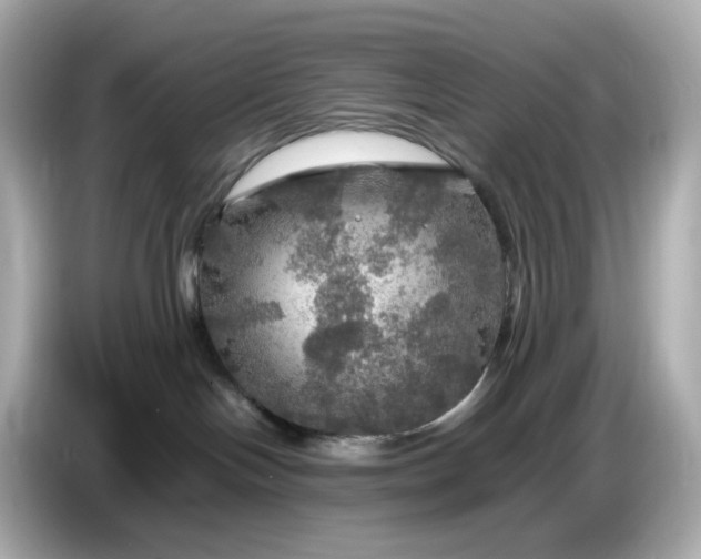 X0000087010094200704301426