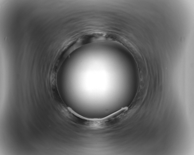 X0000087010096200704301426