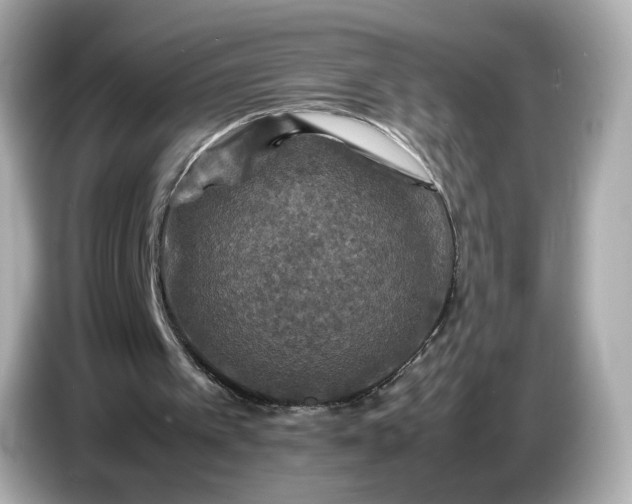 X0000087010097200704301426