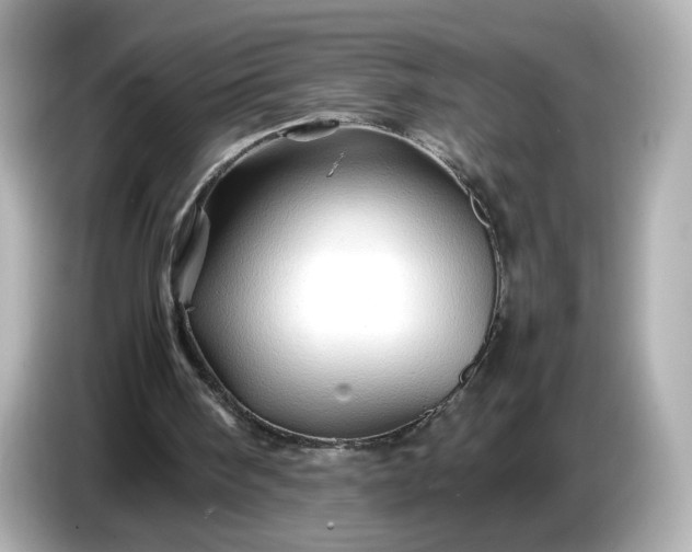 X0000087010098200704301426