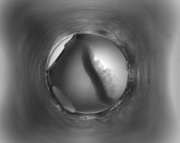 X0000087010099200704301426