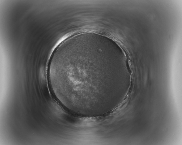 X0000087010100200704301426