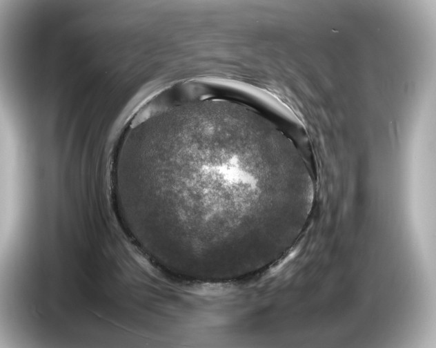 X0000087010101200704301426