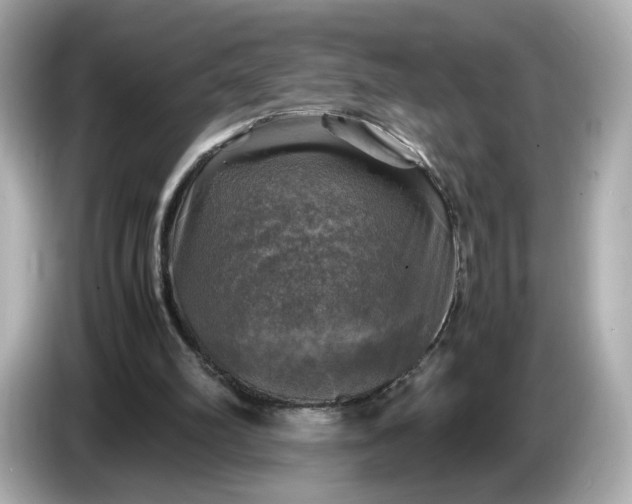 X0000087010102200704301426