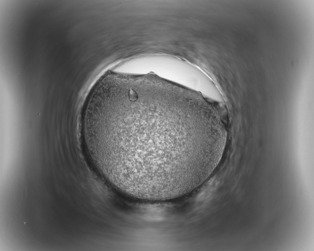 X0000087010103200704301426