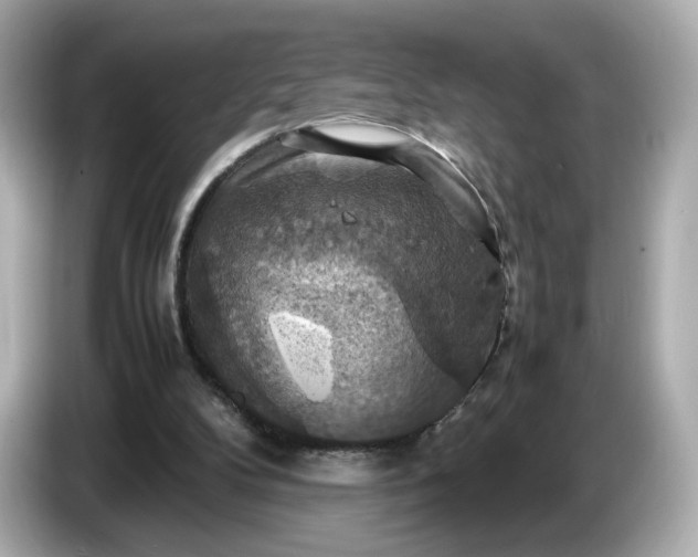 X0000087010104200704301426