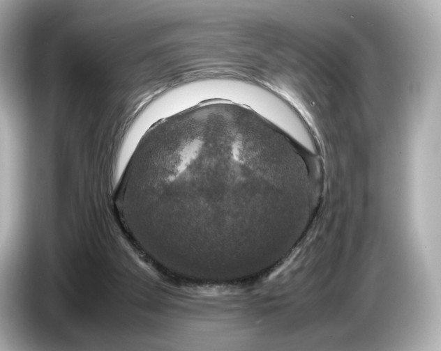 X0000087010105200704301426