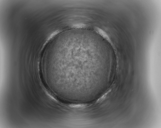 X0000087010106200704301426