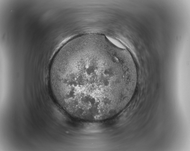 X0000087010107200704301426