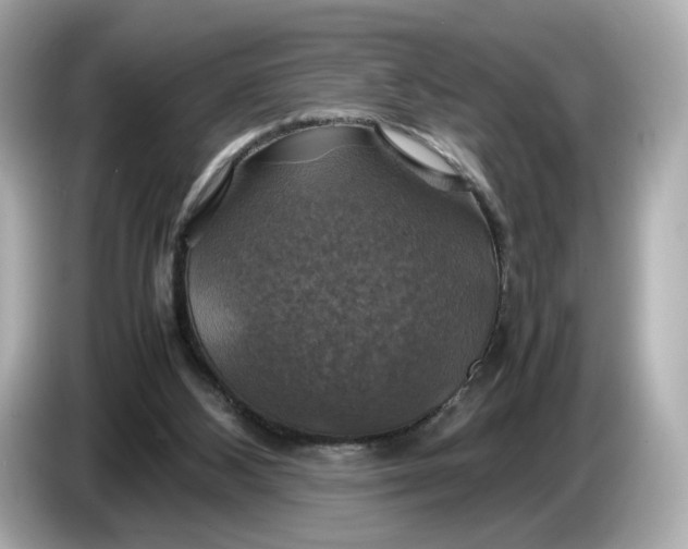 X0000087010108200704301426