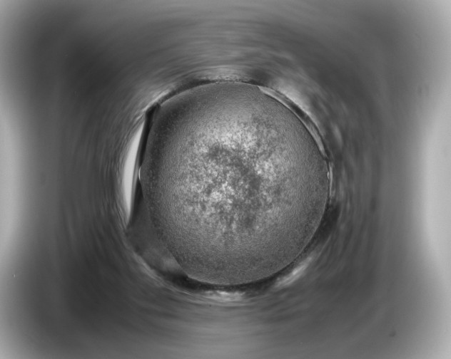 X0000087010109200704301426