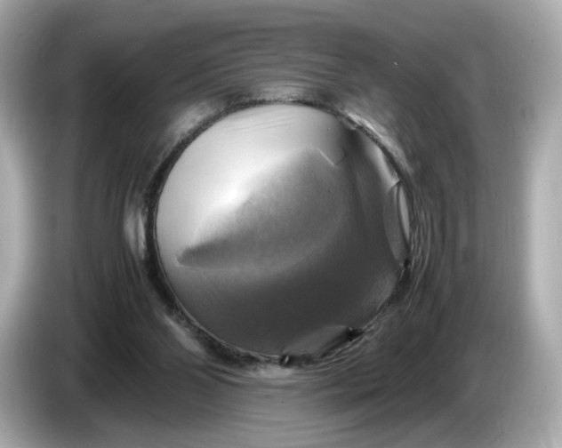 X0000087010110200704301426