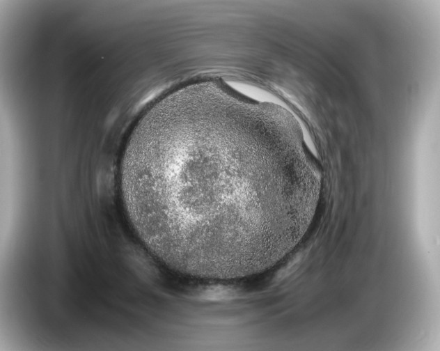 X0000087010111200704301426