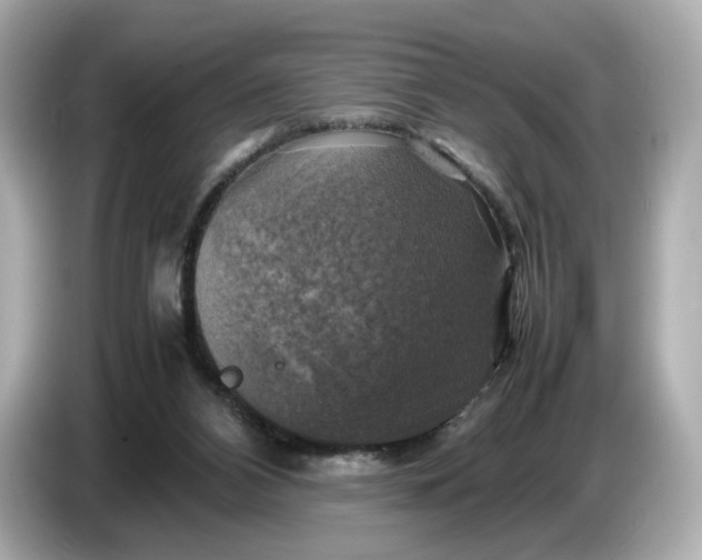 X0000087010112200704301426