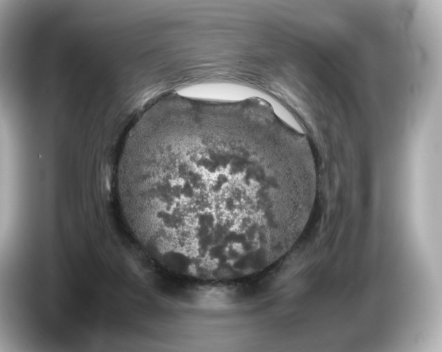 X0000087010115200704301426