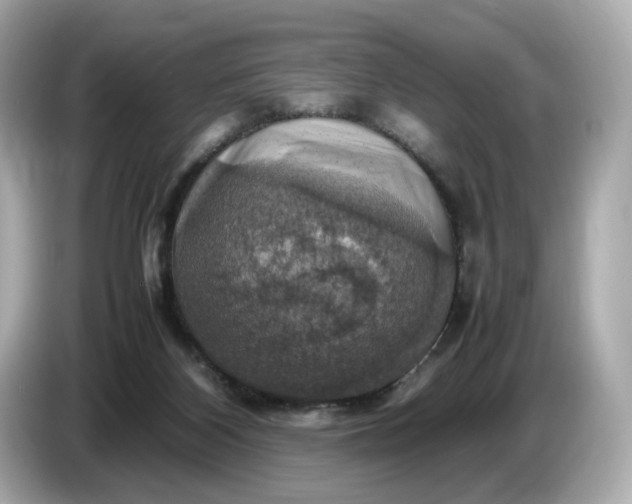 X0000087010116200704301426