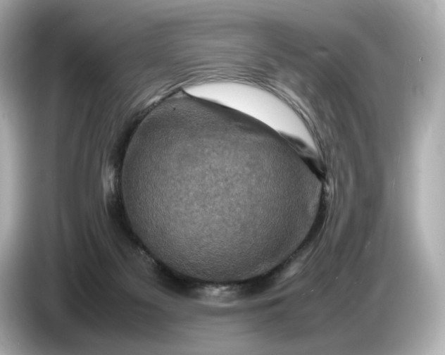 X0000087010117200704301426