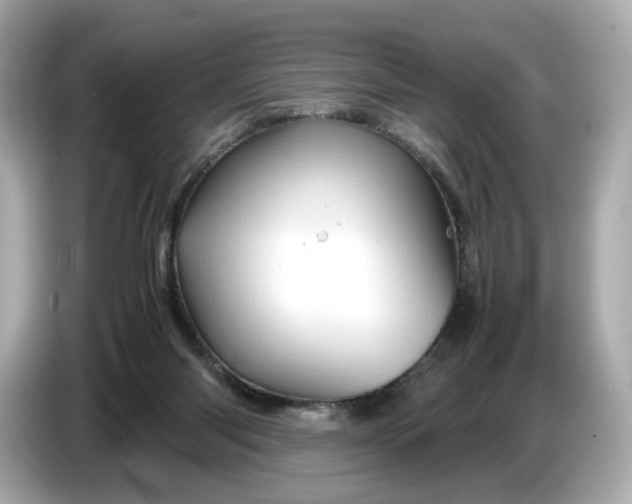 X0000087010118200704301426