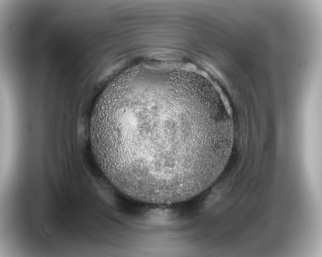 X0000087010119200704301426