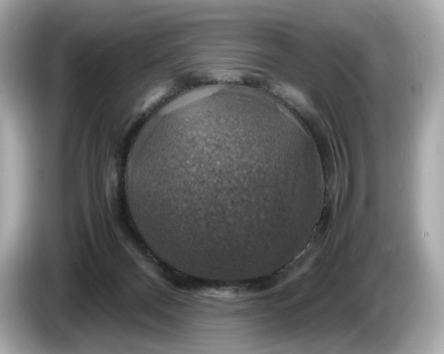 X0000087010120200704301426