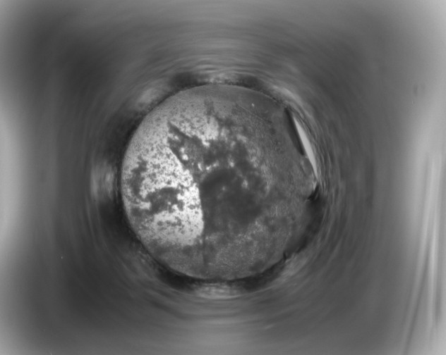 X0000087010123200704301425