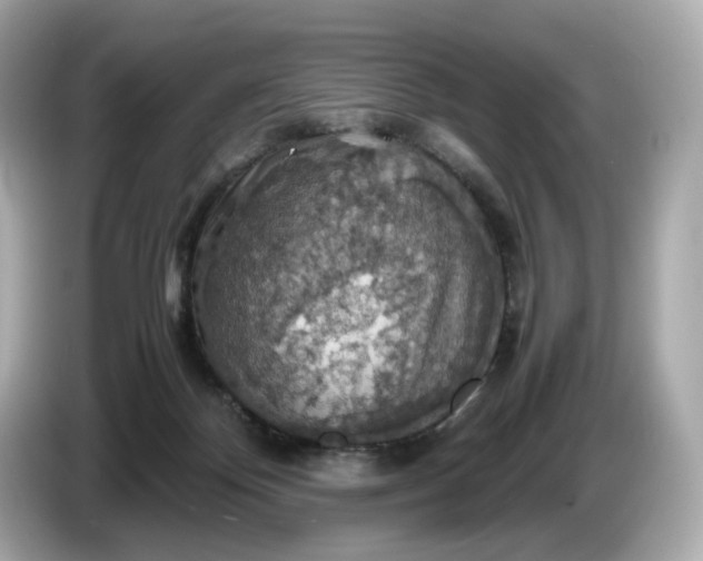 X0000087010124200704301425