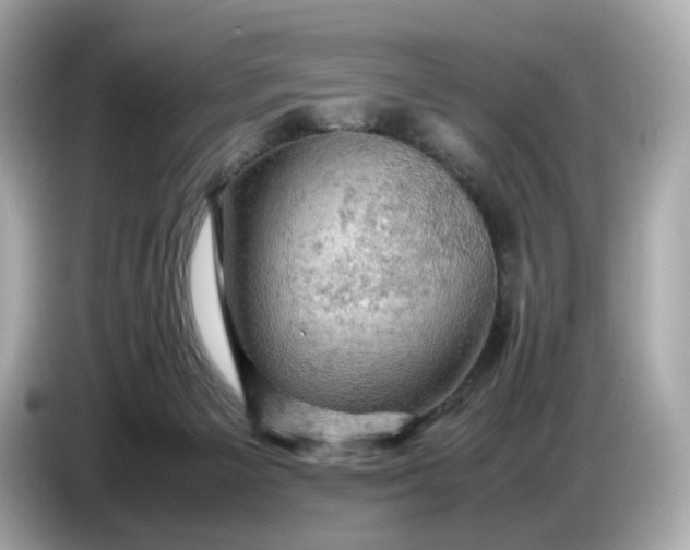 X0000087010125200704301425