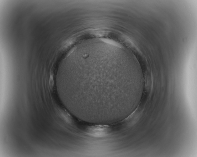 X0000087010128200704301425