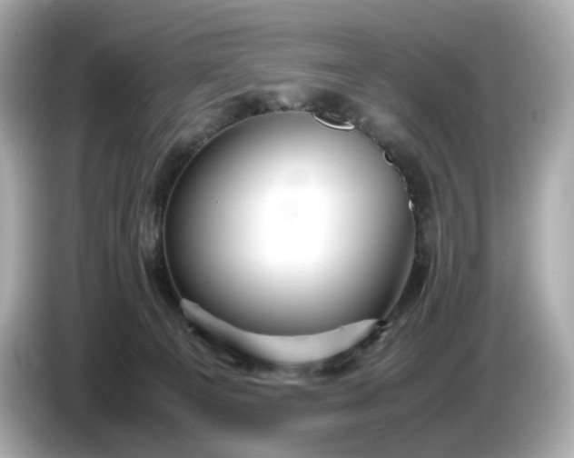 X0000087010129200704301425