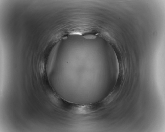 X0000087010130200704301425