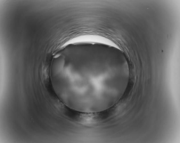 X0000087010131200704301425