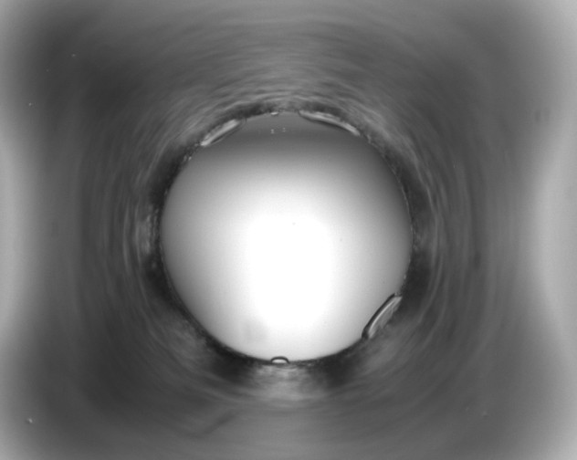 X0000087010133200704301425