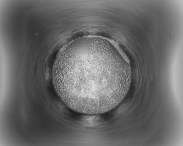 X0000087010135200704301425