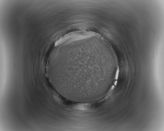 X0000087010136200704301425