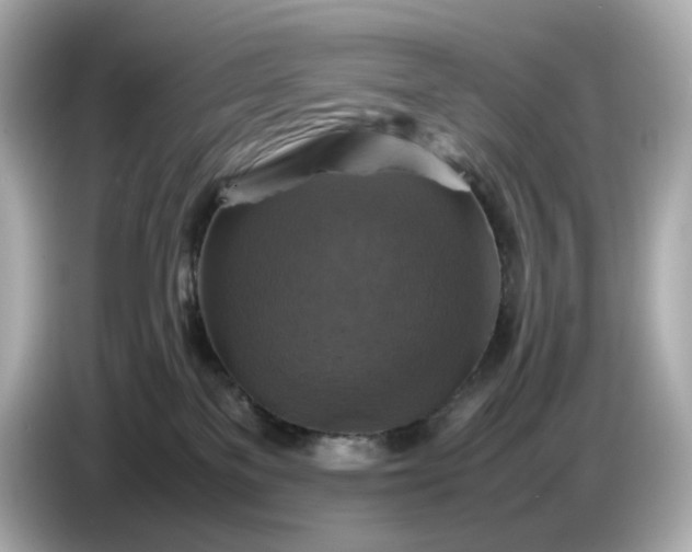 X0000087010137200704301425