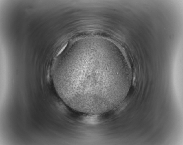 X0000087010138200704301425